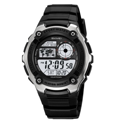 Skmei 2517SI Silver