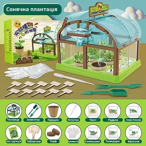 Набор для опытов домашняя теплица Home made plant Игровой набор теплица для выращивания растений с семенами