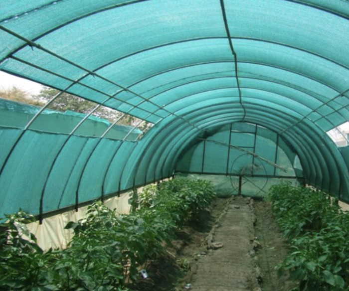 Сітка 45% 3*50 м (Агрокремінь) притіняюча сітка