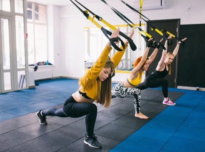 Тренировочные подвесные Петли TRX функциональные ремни для упражнений и кроссфита GS-2085