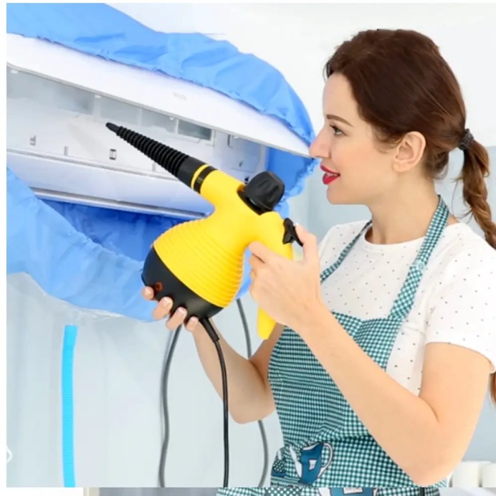 УЦЕНКА! Отпариватель с функцией пароочистителя Cleaner DF-A001 (TM-115) (Трещина на корпусе 3059)