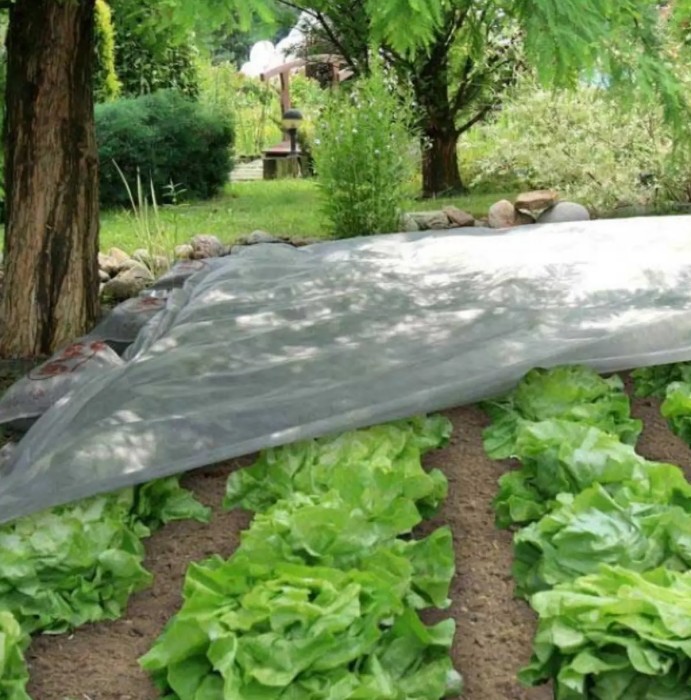 Агроволокно  30 г/м2 10,5 х100м.біле 